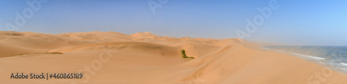 Dunes on the Skeleton Coast / Sandstorm on the Skeleton Coast, dunes to the Atlantic Ocean, Namib Desert, Namibia, Africa.