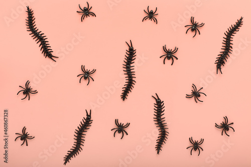 minimalistic pattern for halloween from various insects of black color on a light background. decor for the holiday in the form of creepy spiders. simple flat lay, top view