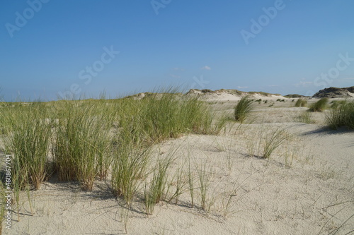 Sand dunes of Norderney Island in the North Sea in Germany