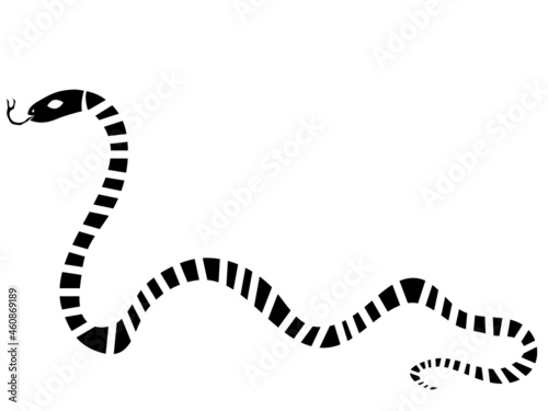 Patterned Sea Snake with Forked Tongue HD Vector
