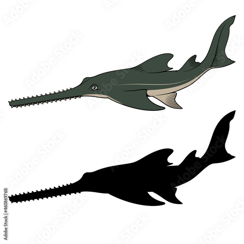 Sawfish. Vector clipart. Color and black versions.