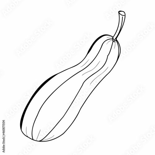 Autumn gifts of nature close-up on a white background. Vector graphics. Contour illustration.