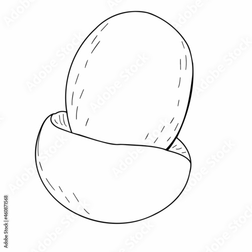 Autumn gifts of nature close-up on a white background. Vector graphics. Contour illustration.