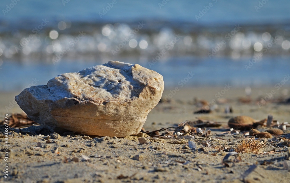 Rock and beach debris at the shore with waves in the background Rock and beach debris at the shore with waves in the background
