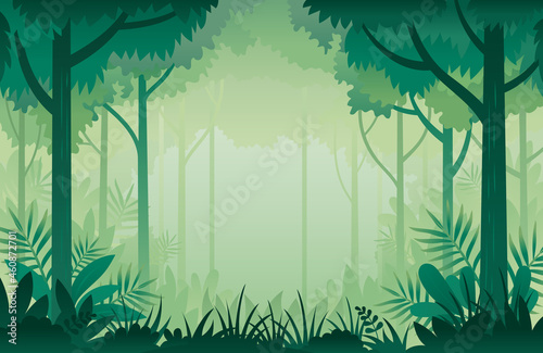 Jungle, Forest Frame Natural Scenery Background