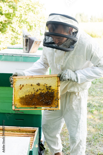 apiarist holding frame with honeycomb and bees on apiary