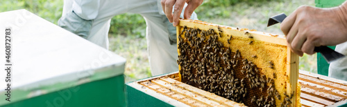 partial view of beekeeper holding honeycomb frame near blurred colleague, banner