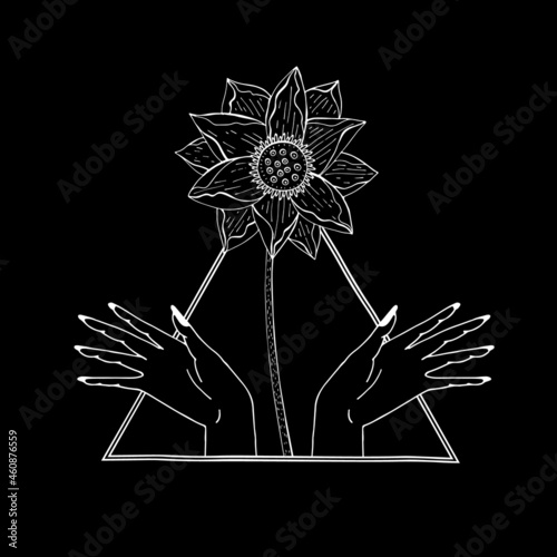 Vintage Mystic hands and lotus flower inside triangle Illustration