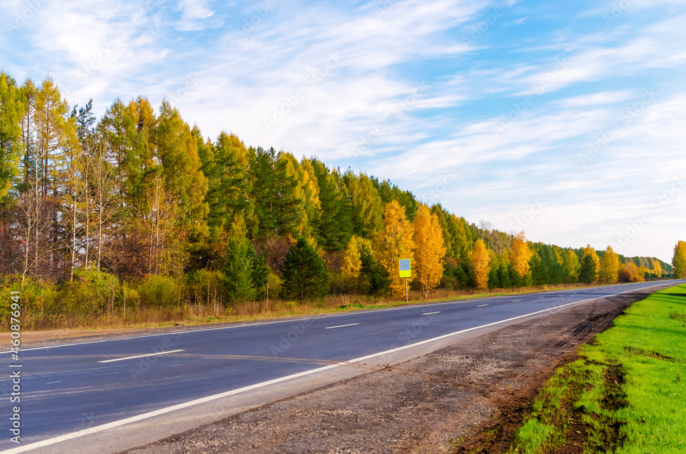 Fototapeta premium highway along the autumn forest with yellow foliage
