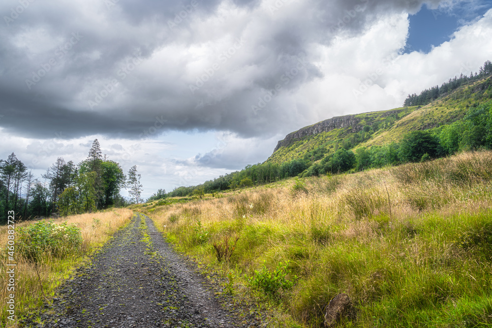 Country road leading trough meadows to the forest on the hill. Cliffs and mountains of Glenariff Forest Park, County Antrim, Northern Ireland