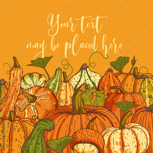 Pumpkin harvest composition with a text area