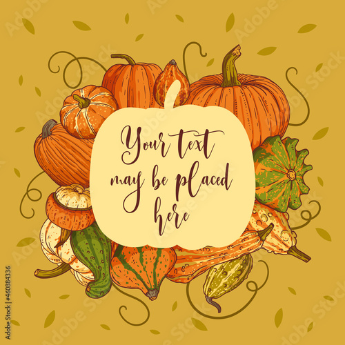 Pumpkin harvest composition with a text area