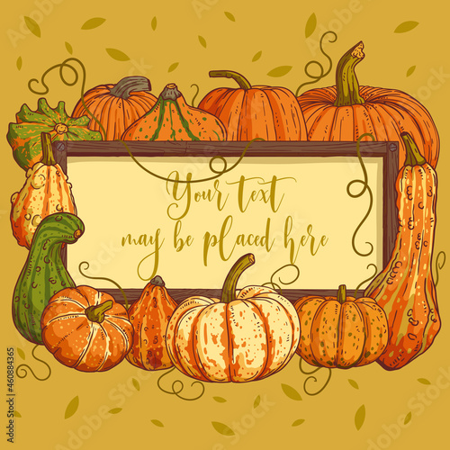 Pumpkin harvest composition with a frame text area