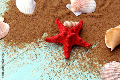 Red starfish with different seashells lies on a wooden background.