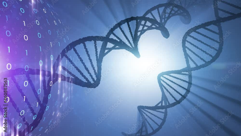 Artistic rotating dna chains and binary numbers sphere digital science network animation background. Artistic rotating dna chains and binary numbers sphere digital science network animation background.