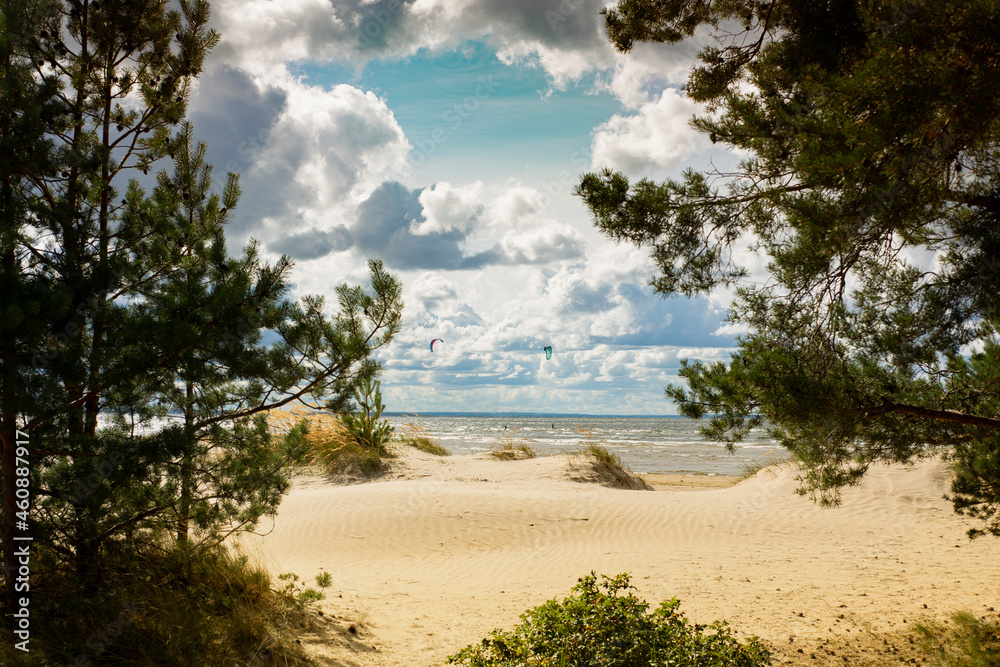 Thick cumulus clouds over the Gulf of Finland in windy weather