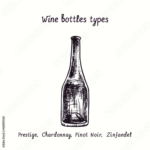Wine bottles types collection, Prestige, Chardonnay, Pinot Noir, Zinfandel. Ink black and white doodle drawing in woodcut style.