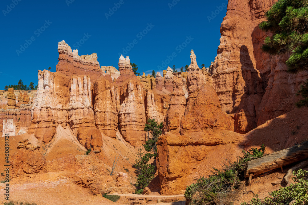 Hoo Doo's on the Navajo Trail in bryce Canyon Ampitheater Hoo Doo's on the Navajo Trail in bryce Canyon Ampitheater