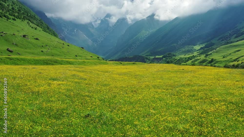 View of wildflower meadow and Caucasus mountains, 4k View of wildflower meadow and Caucasus mountains, 4k