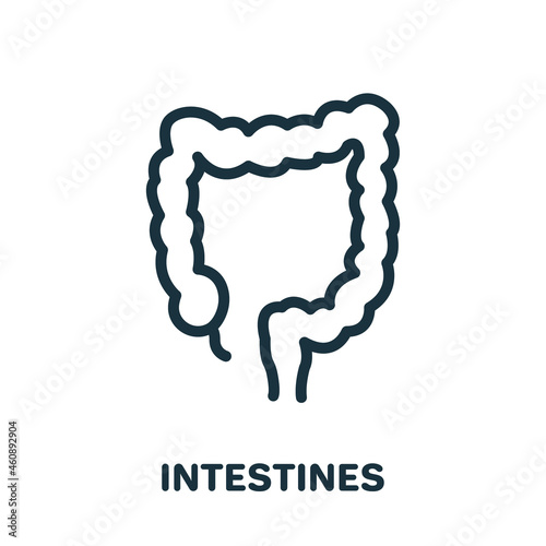 Large Intestine Line Icon. Colon Linear Pictogram. Bowel Concept. Internal Digestive Human Organ Outline Icon. Editable Stroke. Isolated Vector Illustration