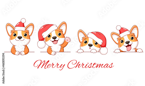 Christmas set of cute corgi dog. Borders with kawaii welsh corgi puppy in Santa hats. Xmas collection of dogs with different emotion - funny, happy, surprised, sticking out tongue. Vector EPS8
