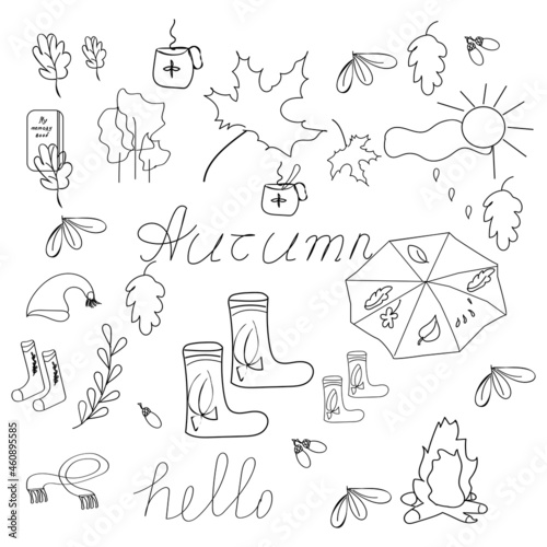 Hand drawn autumn collection with seasonal plants and leaves.