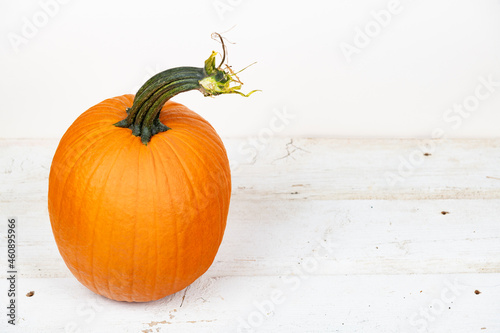 Bright orange organic pumpkin sitting on an old wooden white table top isolated on white with copy space