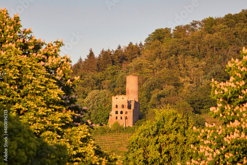 Strahlenburg ruin castle in greenery photo