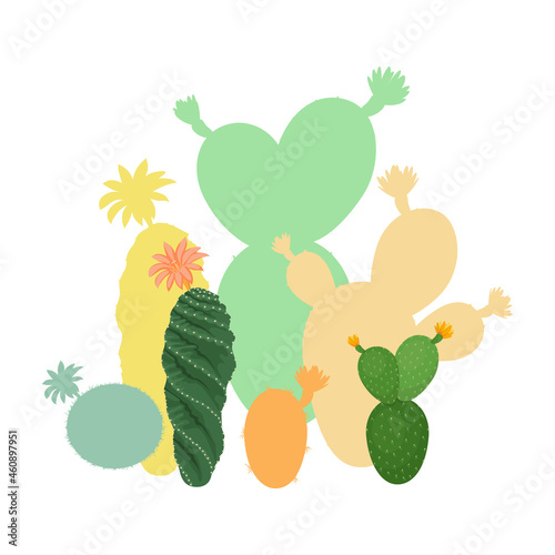 Clipart with cacti on white background. Blooming cactus flat illustration. Desert and exotic plant.