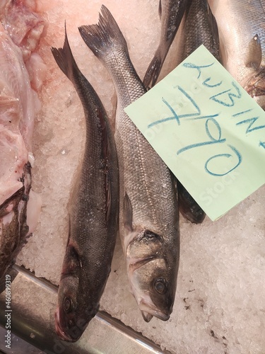 Spain- Barcelona/ Bilbao/ Cantabria