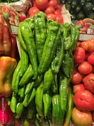 Spain- Barcelona/ Bilbao/ Cantabria