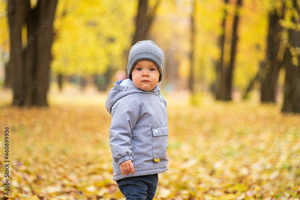 A small child walks in the park in the afternoon on the autumn leaves A small child walks in the park in the afternoon on the autumn leaves