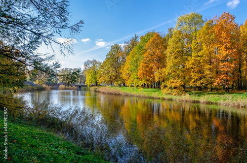 Fototapeta Naklejka Na Ścianę i Meble -  Alexander park in autumn, Pushkin (Tsarskoe Selo), St. Petersburg, Russia