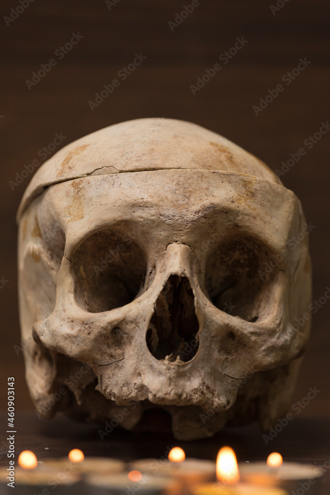 halloween, skull with candles, horror night halloween, skull with candles, horror night