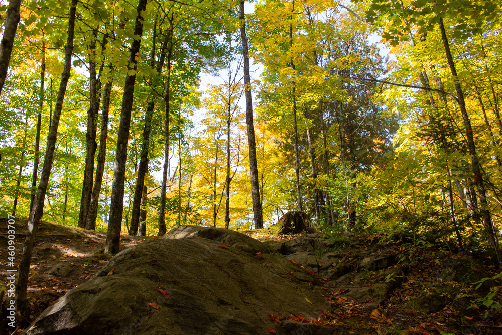 Obraz premium Chutes de Plaisance, QC, Canada