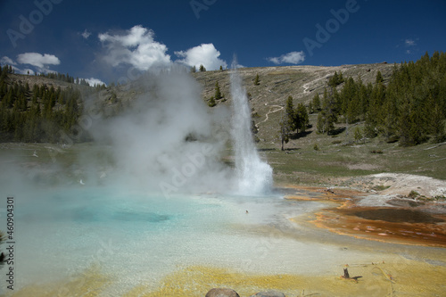 Imperial Geyser colorful hotsprings in Yellowstone National Park erupting