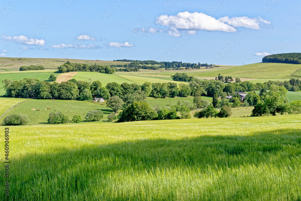 View of the countryside from the Craigievar castle grounds - Scotland View of the countryside from the Craigievar castle grounds - Scotland