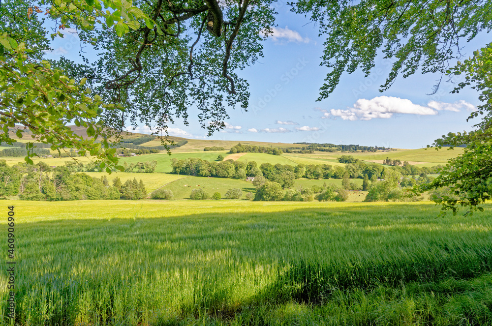 View of the countryside from the Craigievar castle grounds - Scotland View of the countryside from the Craigievar castle grounds - Scotland