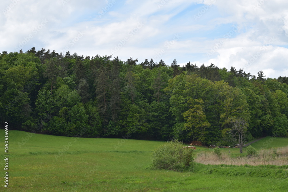 Priesendorf - Bayern - Deutschland - Waldrand Priesendorf - Bayern - Deutschland - Waldrand