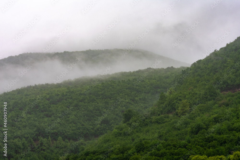 fog in the mountains fog in the mountains