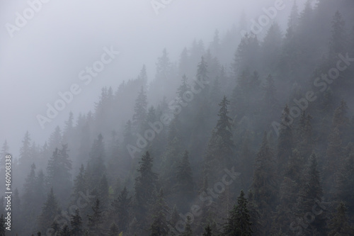 Fototapeta Naklejka Na Ścianę i Meble -  foggy landscape on a mountain slope