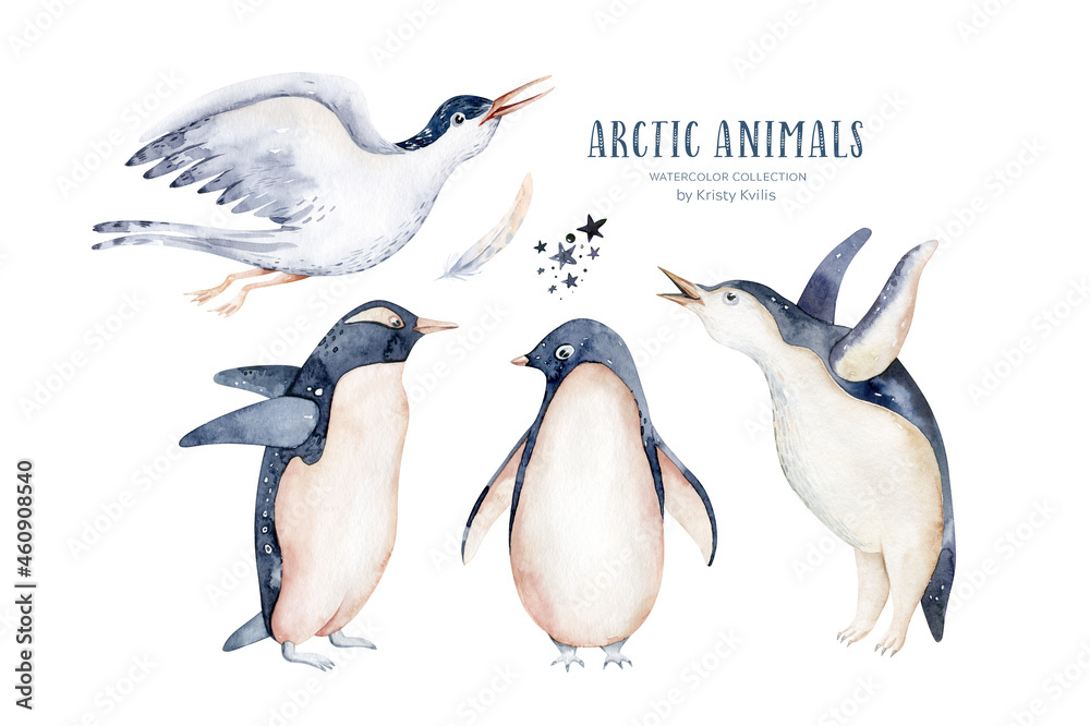 Fototapeta premium Beautiful watercolor illustration penguins, arctic tern. Hand drawn image of antarctic birds. Isolated objects on white background.