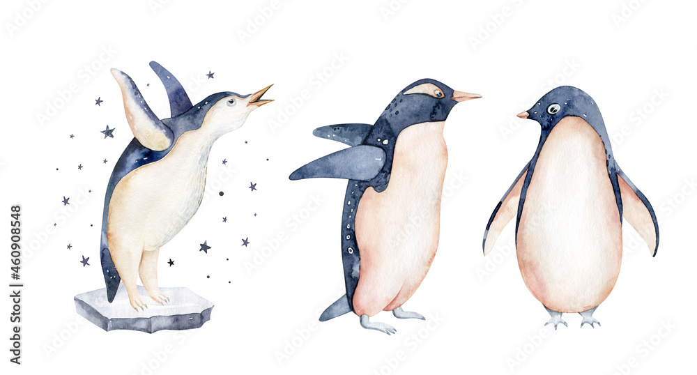 Naklejka premium Beautiful watercolor illustration penguins, arctic tern. Hand drawn image of antarctic birds. Isolated objects on white background.