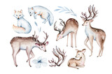 polar arctic animals watercolor collection set. snowy owl. reindeer. polar bear. fox. penguin, walrus. seal and orca, hare whale