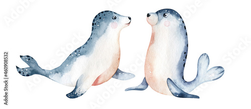 Fotografie watercolor illustration of a seal with a baby polar seals isolated on a white background