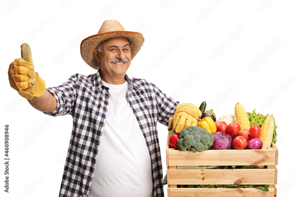 Mature farmer with a crate of fresh organic vegetables and gesturing thumbs up