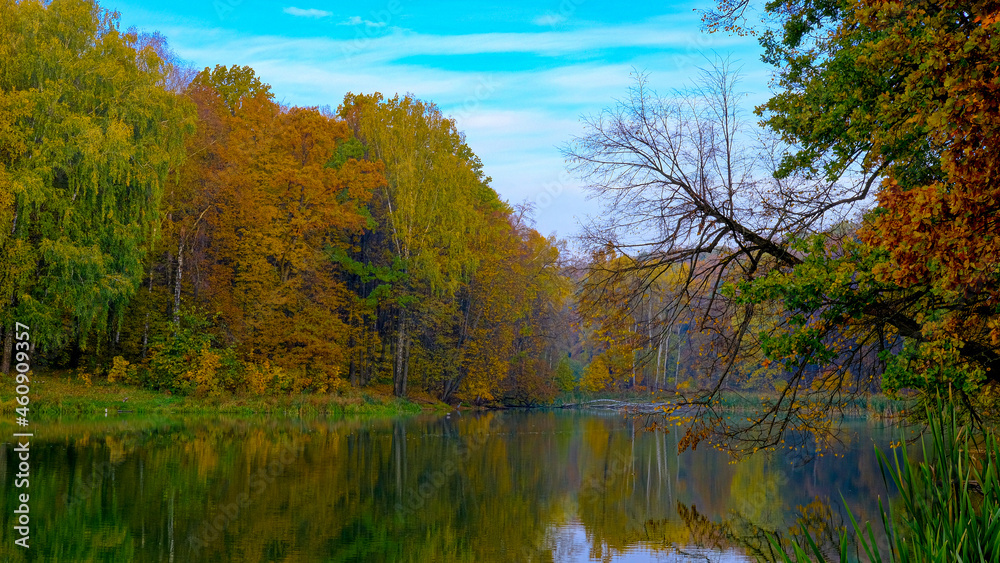 autumn morning