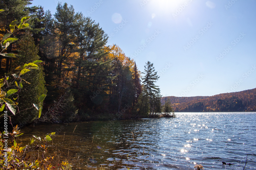 Obraz premium Gatineau Park, Quebec, Canada in Fall