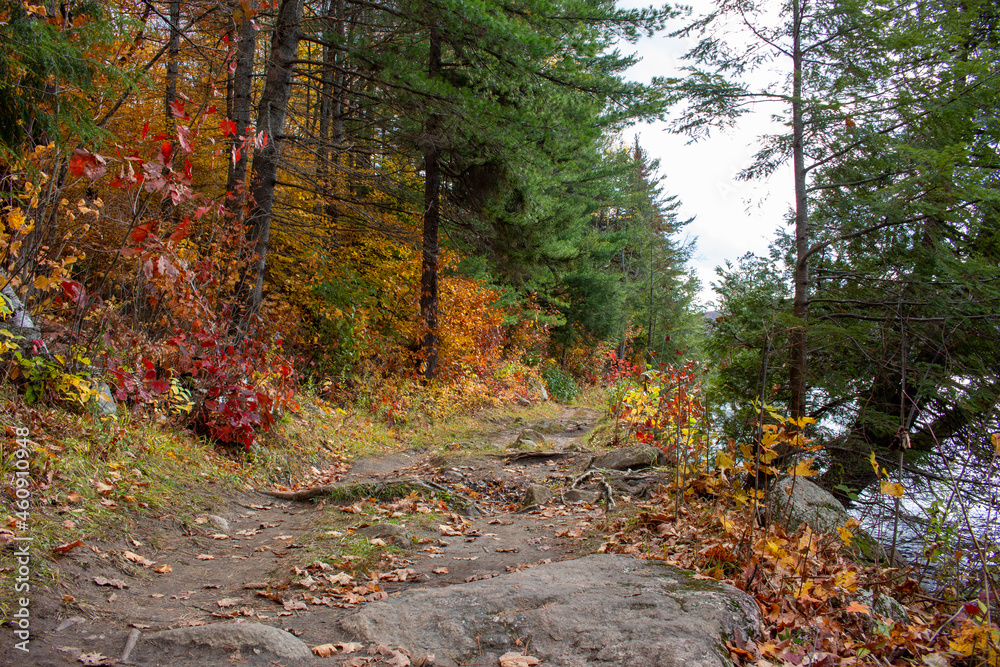 Fototapeta premium Gatineau Park, Quebec, Canada in Fall