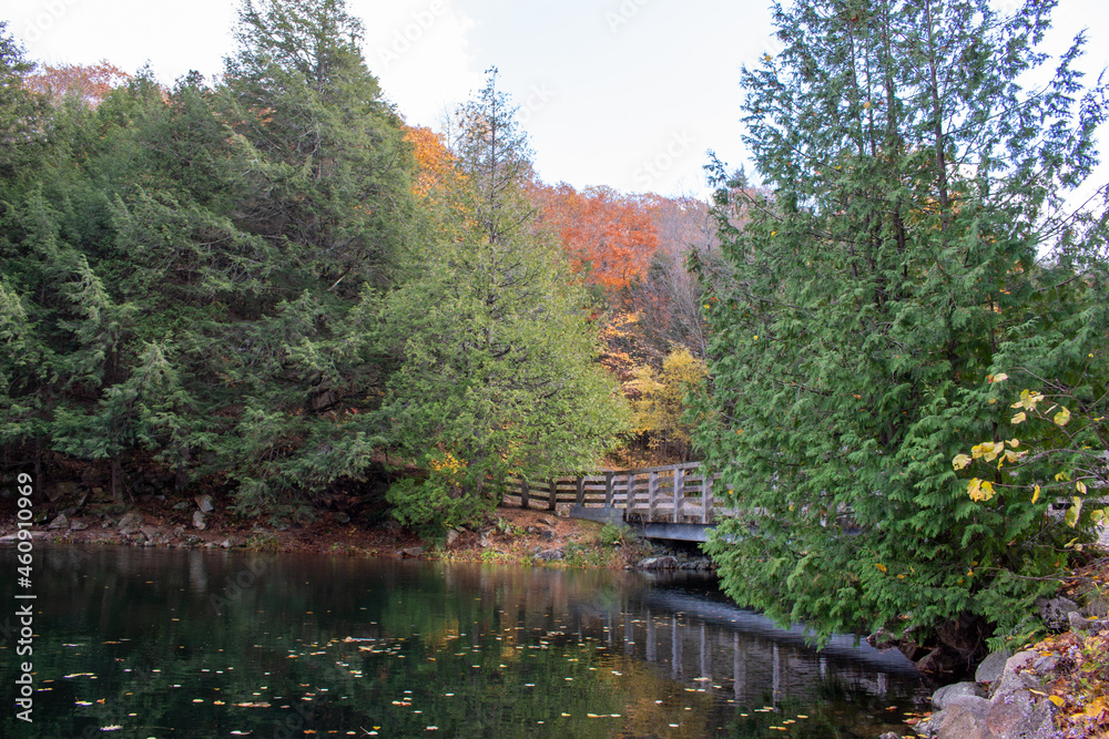 Fototapeta premium Gatineau Park, Quebec, Canada in Fall